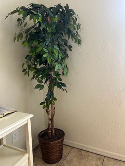 Fake tree 6 ft tall