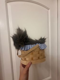 Dorothy dog basket
