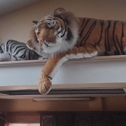 Huge Stuffed Tigers 