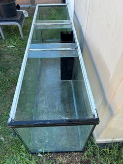 Aquarium 1500 gallons