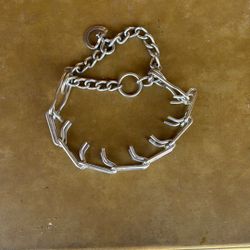 Dog Training Collar