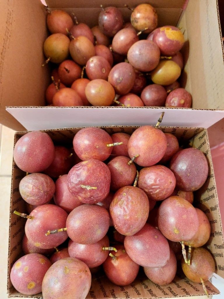 Purple Passion Fruit