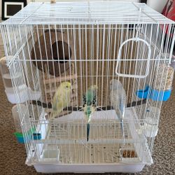 A Beautiful like brand new bird cage