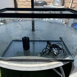 10 Gallon Aquarium 