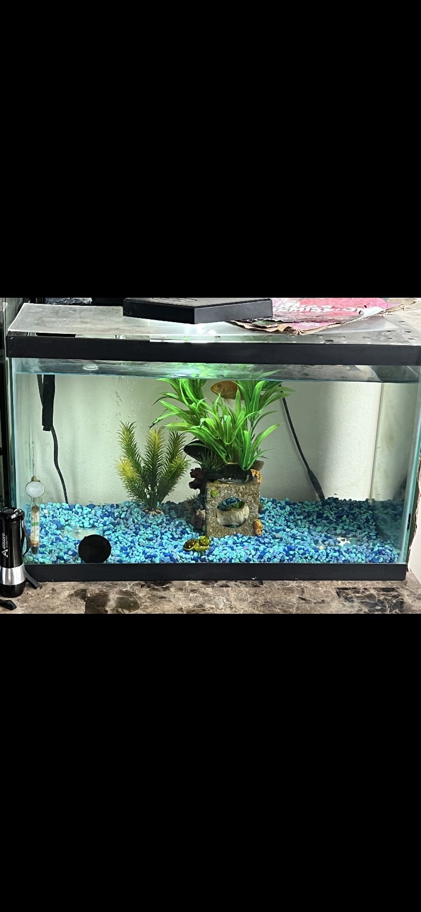 Fish Tank