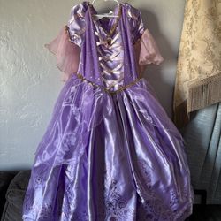 Disney Princess Rapunzle Dress / Costume