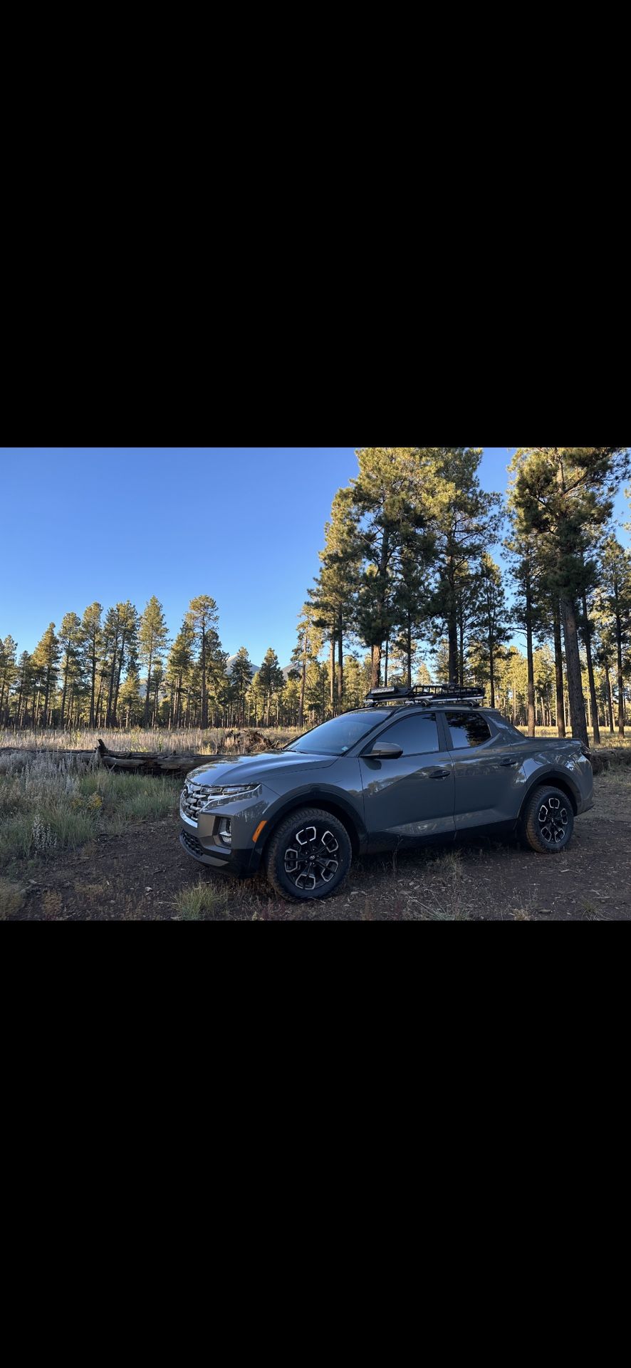 Roof Rack Plus Lights 