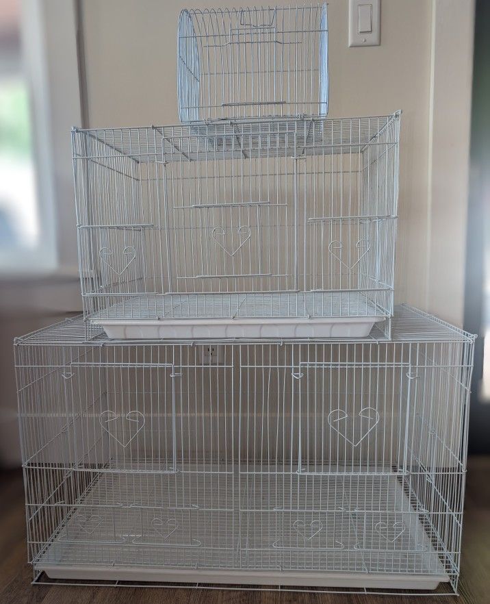 Bird Cages And Accessories