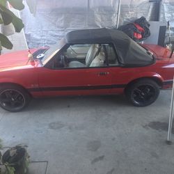 1984 Ford Mustang   5.0 