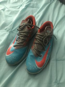 Maryland Blue Crab KD 6