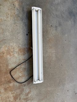Fluorescent light