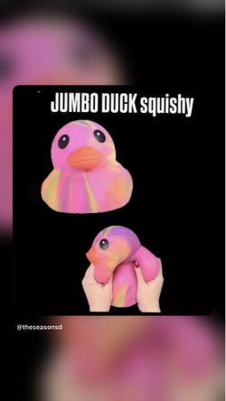 Squishy Duck