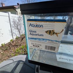 20 Gallon Aquarium With Black Metal Mesh Top