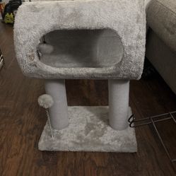 Small Cat Tunnel