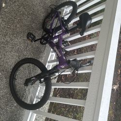 Kids Mountain Bike - 20” Wheels 