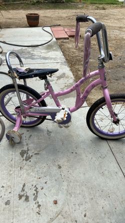 Schwinn bloom bike