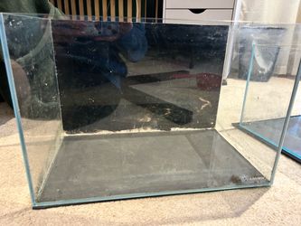 Landen Rimless Tank Aquarium 10g