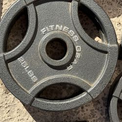 25LB Weights/Plates