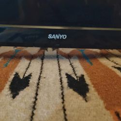 Sanyo 32 Inch Smart Roku Tv