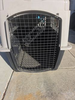 Pet Taxi / Dog Crate