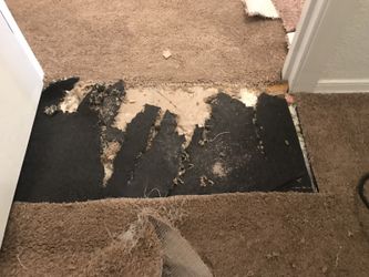 Carpet cleaning ⭐️ Carpet repair ⭐️