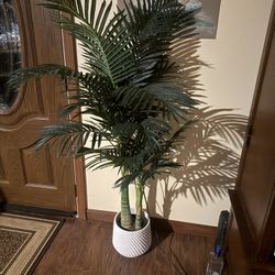 Fake Palm Tree And Pot