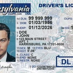 Custom Novelty Drivers License & Identification Cards