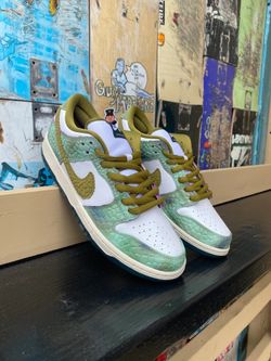 Chameleon nike SB Dunks