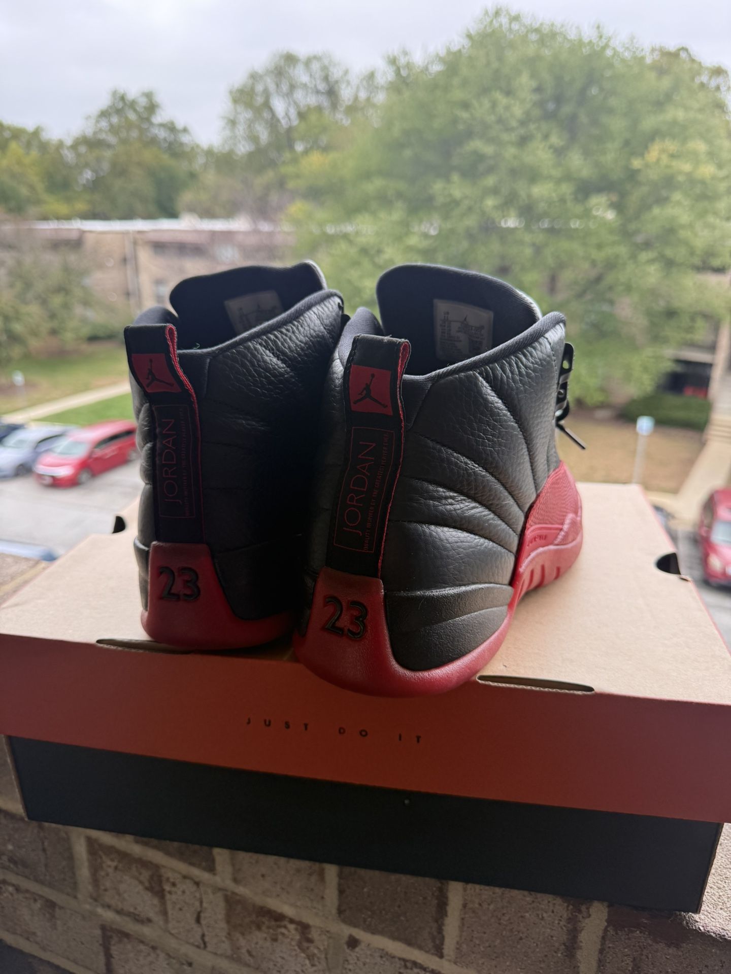 Jordan 12 Flu Game 