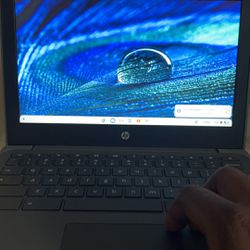 Chromebook Laptop (hp) 