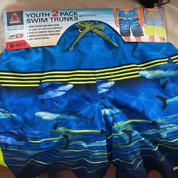 Swim Trunks 🩳 2 Packs Youth Size M 11/12