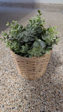 Faux Plants in set of 2