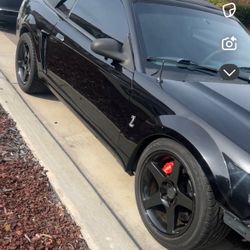 1999 Mustang Cobra 