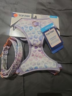 Harness  w/ collar