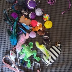 Little Cat Toys