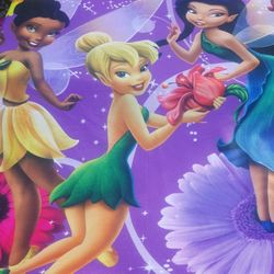 DISNEY  GIRLS SLEEPING BAG /BED SPREAD.  FANNEL  BOYS / GIRLS 2- 6 YARD OF MATERIAL. STROLLER AND BABY JUMPPER AVAILABLE.