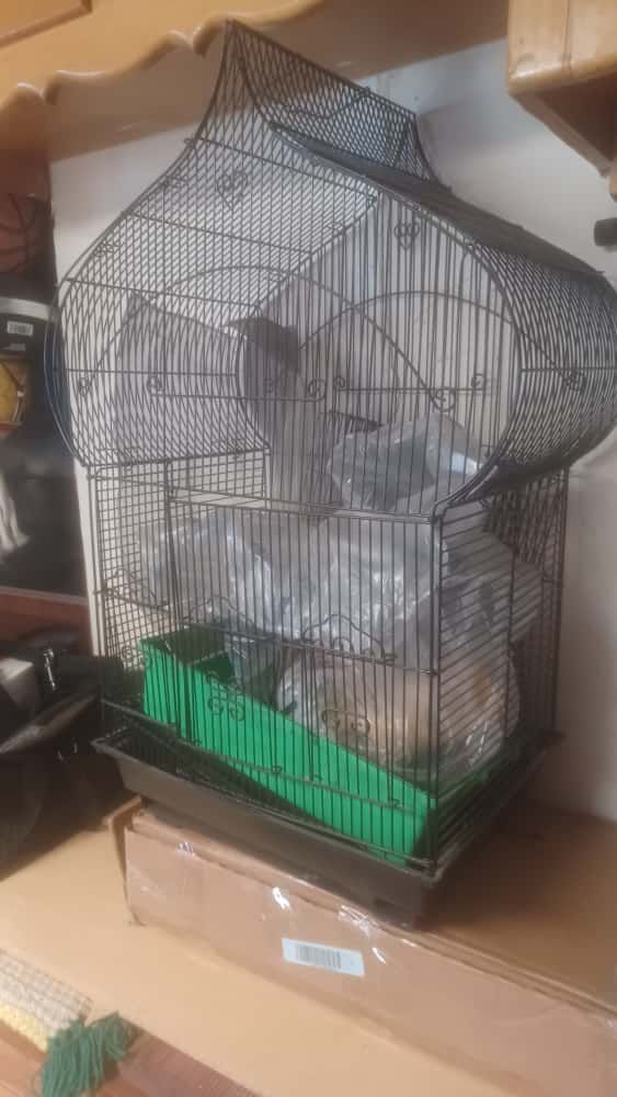 Big Bird Cage