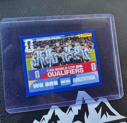 Panini ARG 13