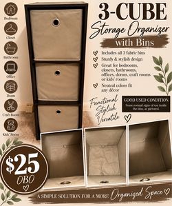 3-Cube Storage Organizer with Fabric Bins