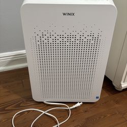 Winix HEPA filter 