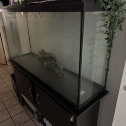 75 Gallon Fish Tank Set