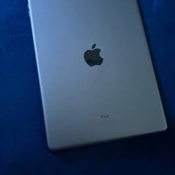 Apple Ipad 8th Gen - Preowned