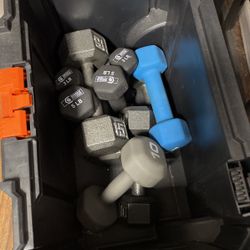 dumbbell weights 