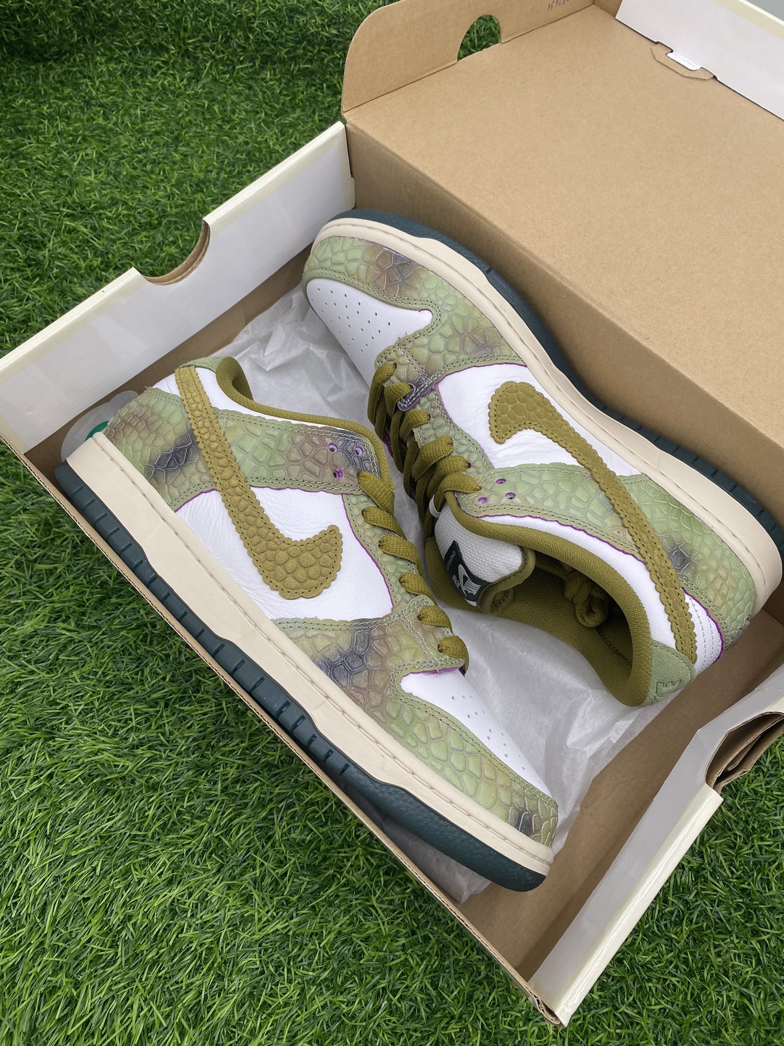 New Nike Dunk Low SB “Chameleon” Size 9.5M