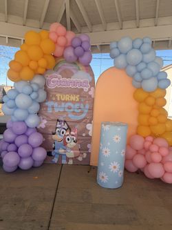 Bluey birthday decorations