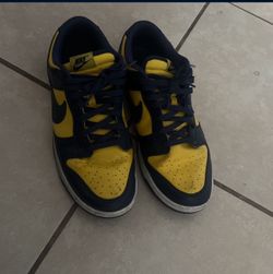 michigan nike dunks 
