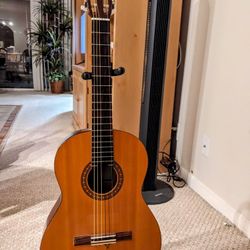 Guitar. Yamaha Classical CS40. 3/4 Size.