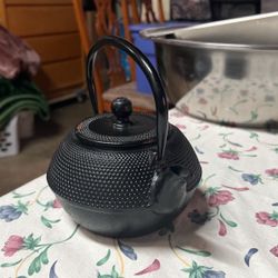 Cast Iron Coffee & Tea Pot