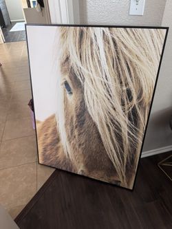 Horse Painting Canvas