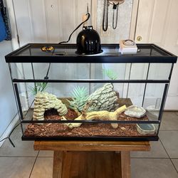 Reptile/Terrarium/Aquarium  32 Gallons front opening Tank with full set up ( no animals included ) ( have more tanks available ) *** Great Condition *